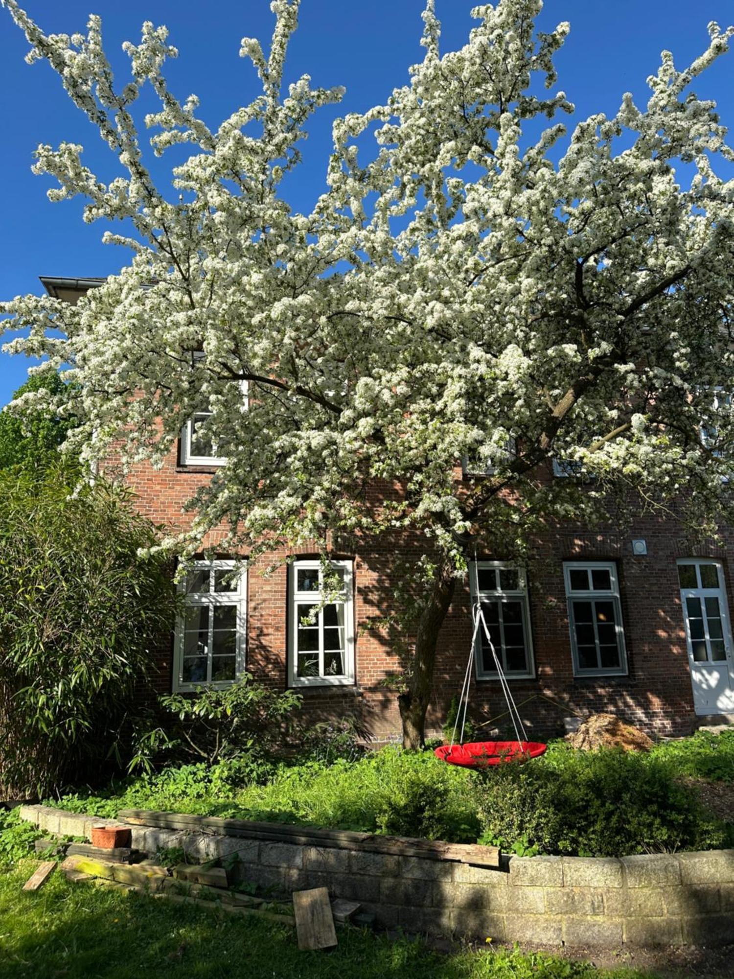 Bed and Breakfast Altes Pastorat Barmstedt Zewnętrze zdjęcie