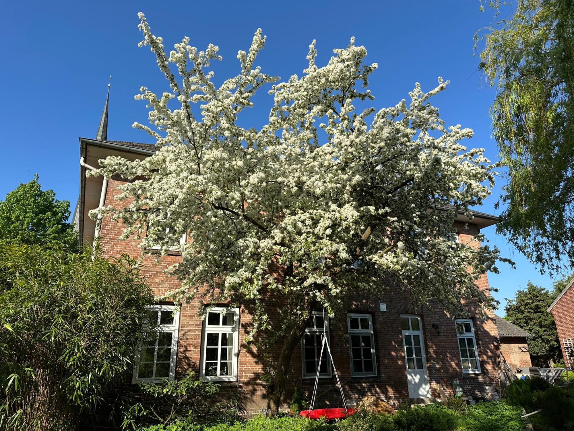 Bed and Breakfast Altes Pastorat Barmstedt Zewnętrze zdjęcie